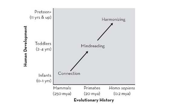 evolutionary history